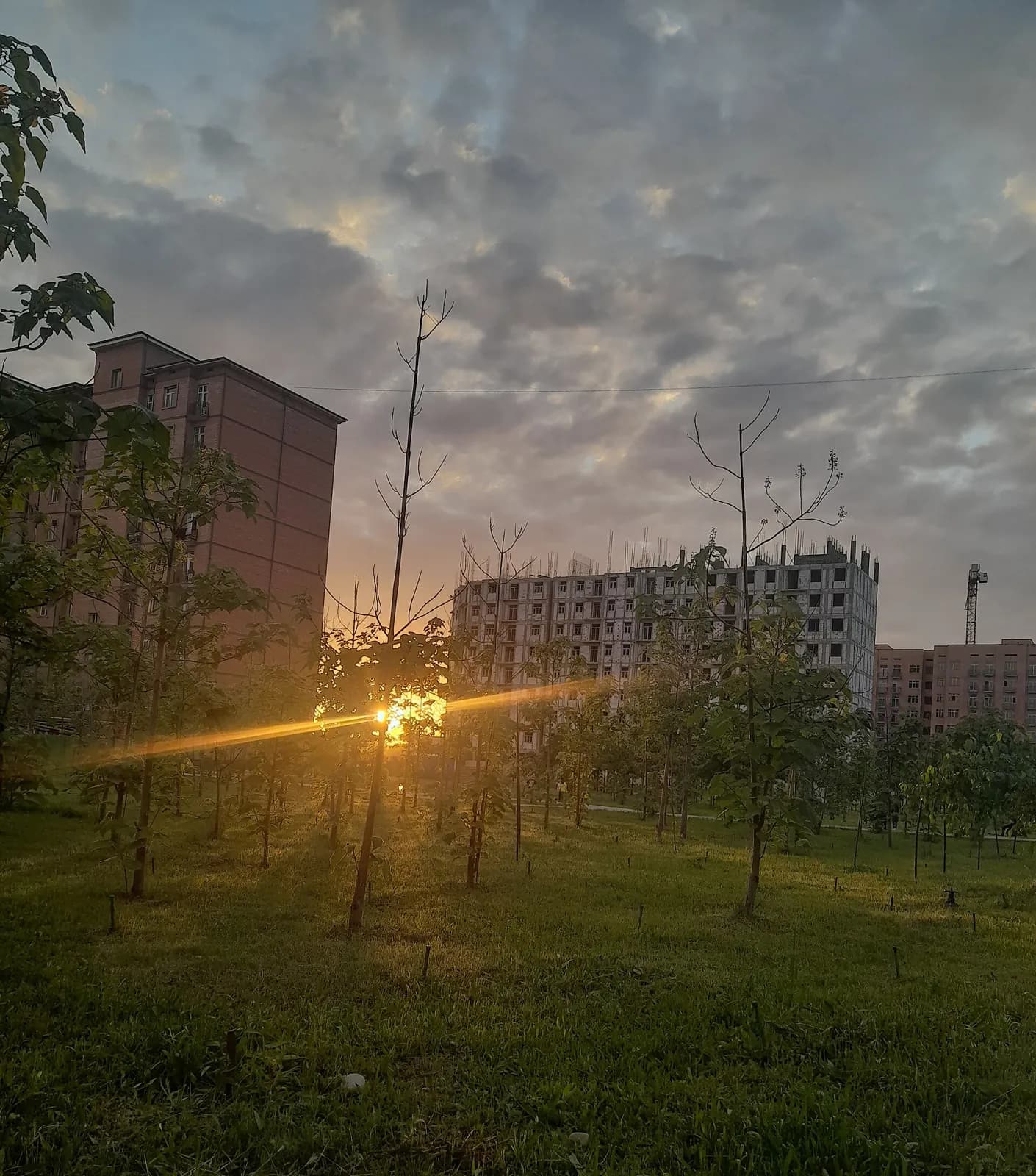 Plot and construction site in Tashkent